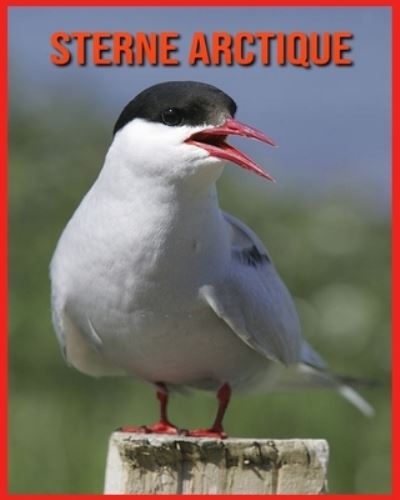 Cover for Alicia Moore · Sterne Arctique (Paperback Book) (2021)