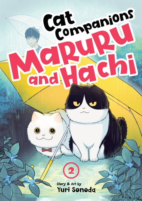 Cover for Yuri Sonoda · Cat Companions Maruru and Hachi Vol. 2 - Cat Companions Maruru and Hachi (Paperback Book) (2024)