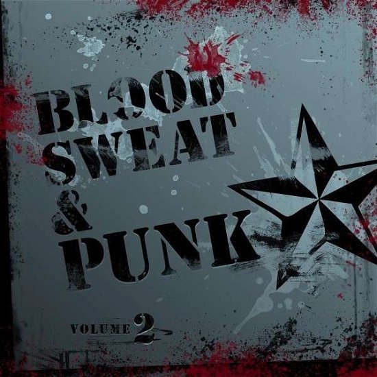 Cover for Blood Sweat &amp; Punk 2 / Various · Blood, Sweat and Punk Volume (CD) (2014)