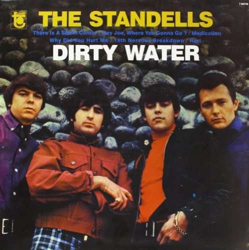 Cover for Standells · Dirty Water (LP) (2003)
