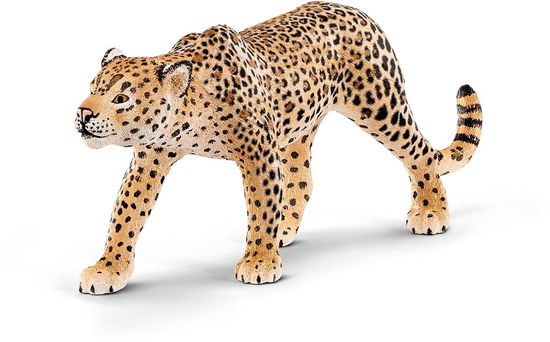 Cover for Schleich · Leopard,Figur.14748 (Book)