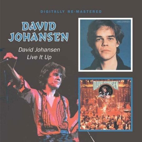 David Johansen / Live It Up - David Johansen - Música - BGO RECORDS - 5017261208200 - 8 de septiembre de 2008