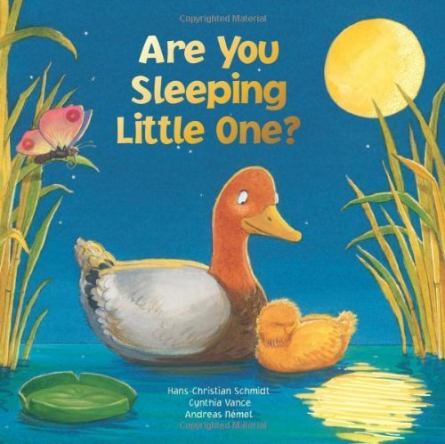 Cover for Hans-Christian Schmidt · Are You Sleeping Little One (Board book) [Brdbk edition] (2012)