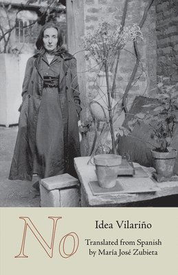 Cover for Idea Vilarino · No - Carnegie Mellon University Press Poetry in Translation (Paperback Book) (2025)