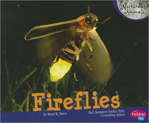 Cover for Mary R. Dunn · Fireflies (Nocturnal Animals) (Paperback Book) (2011)