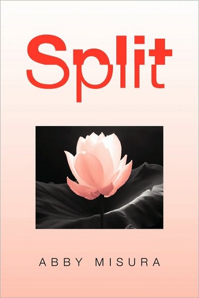 Cover for Abby Misura · Split (Paperback Book) (2010)