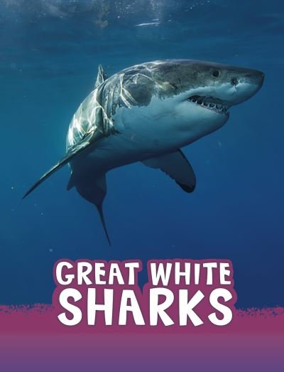 Cover for Jaclyn Jaycox · Great White Sharks - Animals (Paperback Book) (2021)