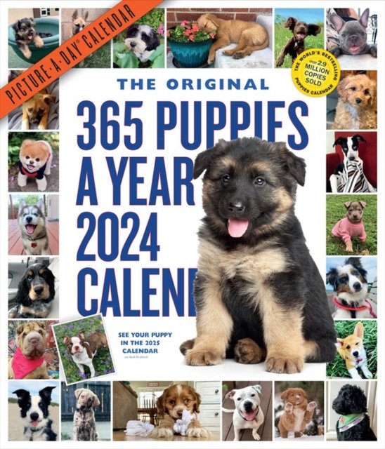 Workman Calendars · 365 Puppies-A-Year Picture-A-Day Wall Calendar 2024: Absolutely Spilling Over With Puppies (Calendar) (2023)