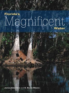 Cover for James Valentine · Florida's Magnificent Water - Florida Magnificent Wilderness (Paperback Book) (2015)