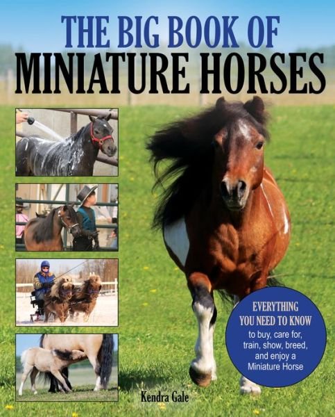 Cover for Kendra Gale · The Big Book of Miniature Horses: Everything You Need to Know to Buy, Care For, Train, Show, Breed, and Enjoy a Miniature Horse of Your Own (Paperback Book) (2017)