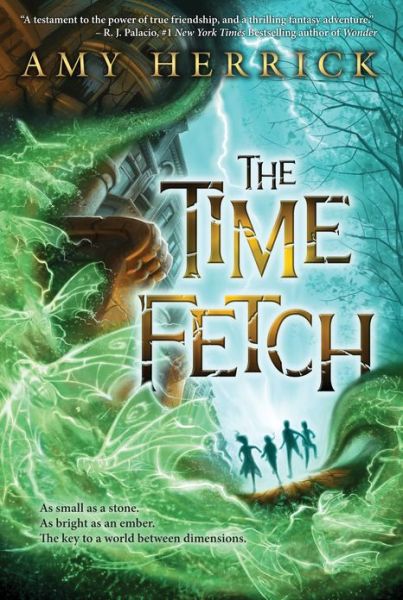 Cover for Amy Herrick · The Time Fetch (Hardcover Book) (2013)