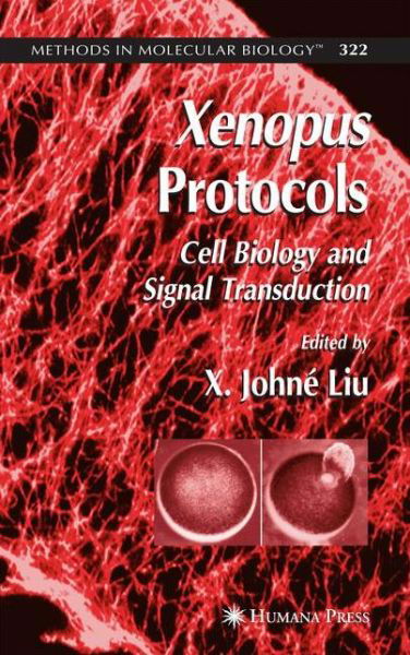 Cover for X Johne Liu · Xenopus Protocols: Cell Biology and Signal Transduction - Methods in Molecular Biology (Paperback Book) [Softcover reprint of hardcover 1st ed. 2006 edition] (2010)