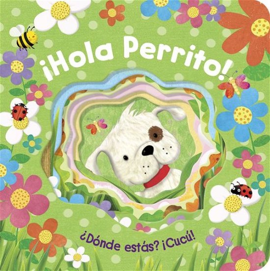 !Hola, Perrito! - Anna Jones - Books - Parragon - 9781646382200 - March 2, 2021