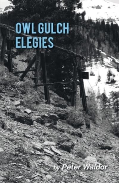 Cover for Peter Waldor · Owl Gulch Elegies (Paperback Book) (2020)