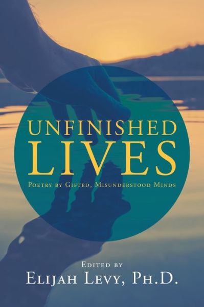 Cover for Elijah Levy · Unfinished Lives (Paperback Book) (2020)