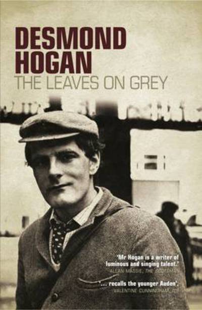 Cover for Desmond Hogan · The Leaves On Grey (Paperback Book) (2015)