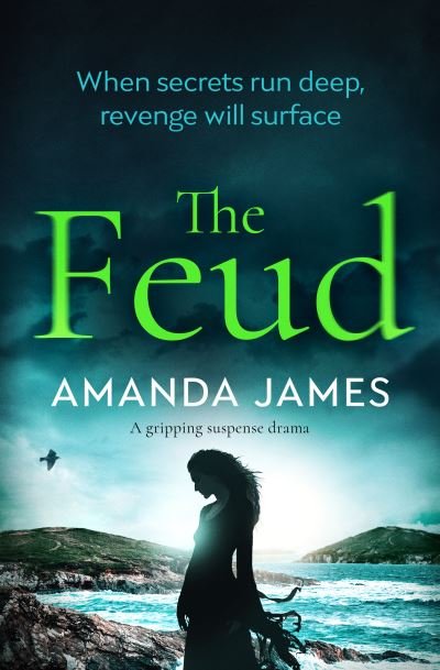 Cover for Amanda James · Feud (Book) (2019)