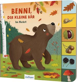 Cover for Anja Kiel · Mein erstes Jahreszeitenbuch: Benni, der kleine Bär (Bok) (2023)