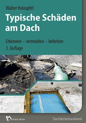 Cover for Holzapfel · Typische Schäden am Dach (Book)