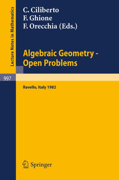 Cover for C Ciliberto · Algebraic Geometry: Open Problems - Lecture Notes in Mathematics (Paperback Book) (1983)