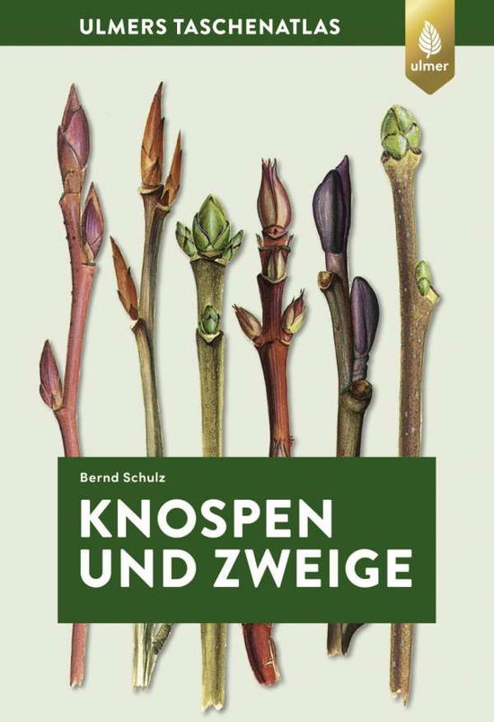 Knospen und Zweige - Schulz - Książki -  - 9783818608200 - 