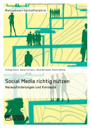 Cover for Rene Biniossek · Social Media Richtig Nutzen (Paperback Book) [German edition] (2013)