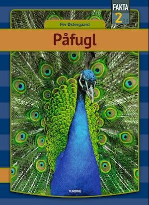 Cover for Per Østergaard · Fakta 2: Påfugl (Hardcover Book) [1e uitgave] (2021)