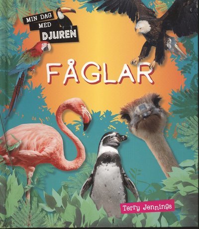 Cover for Terry Jennings · Min dag med djuren: Min dag med djuren : Fåglar (Gebundesens Buch) (2011)