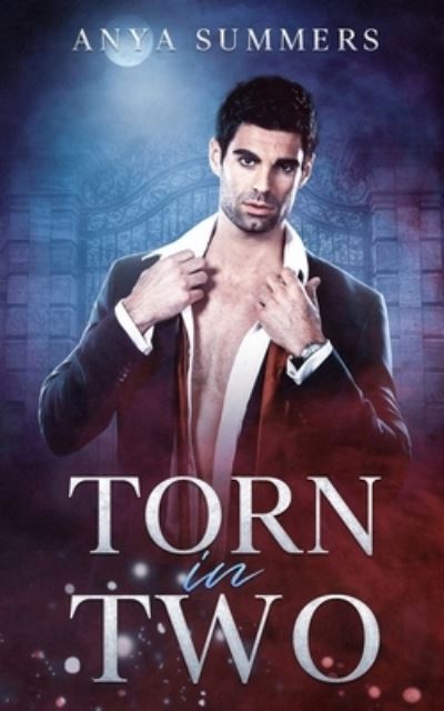 Torn In Two - Anya Summers - Books - Independently Published - 9798584004200 - January 19, 2021