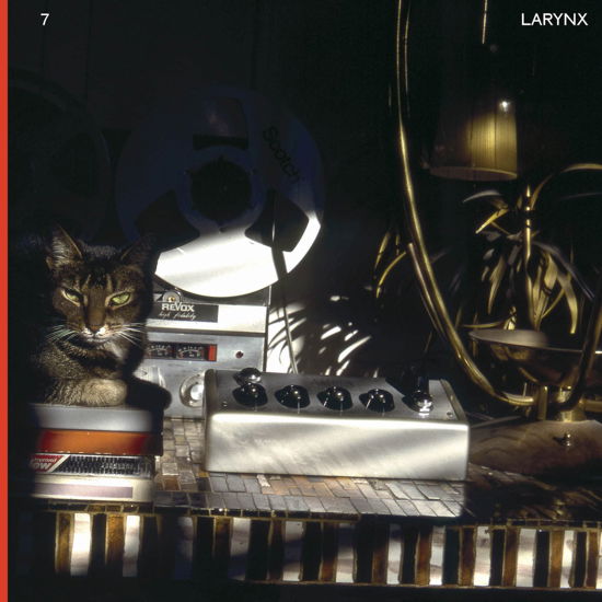 Lary 7 · Larynx (LP) (2023)