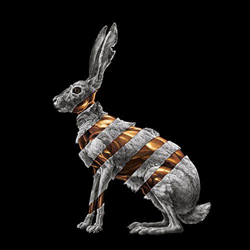 Cover for San Fermin · Jackrabbit (LP) (2015)