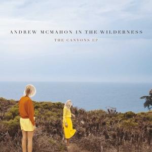 Cover for Andrew Mcmahon In The Wilderness · The Canyons Ep (LP) [EP, Limited edition] (2016)