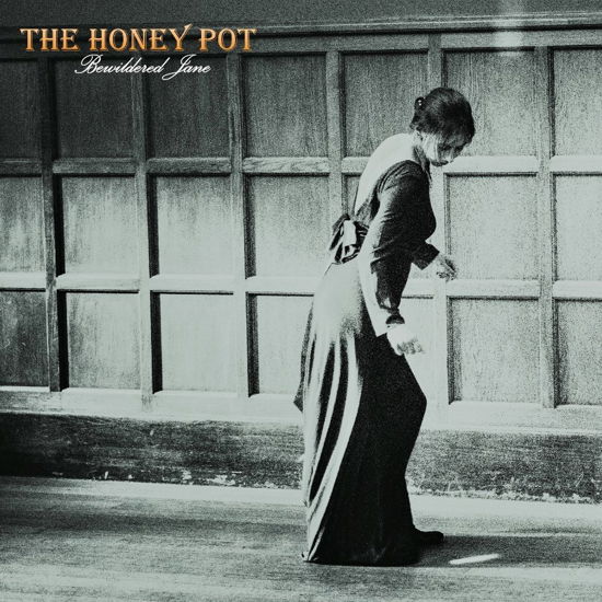 Cover for Honey Pot · Bewildered Jane (LP) (2019)