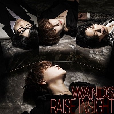 Cover for Wands · Raise Insight (CD) [Japan Import edition] (2023)