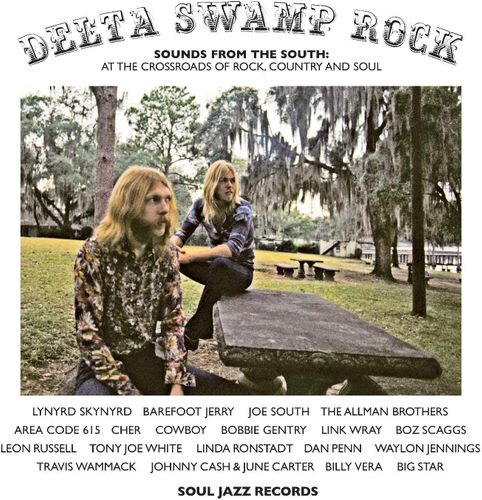 Cover for Soul Jazz Records Presents / Various · Delta Swamp Rock - Sounds Of The South: At The Crossroads Of Rock, Country &amp; Soul (LP) (2024)