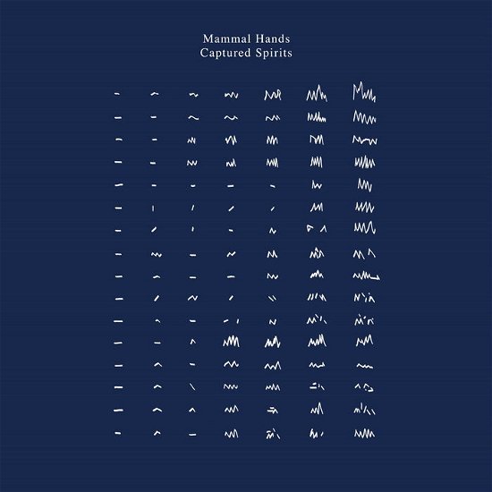 Cover for Mammal Hands · Mammal Hands - Captured Spirits (Clear Vinyl) (2 Lp) (LP) [Limited edition] (2020)