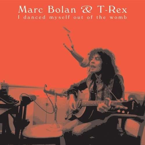 Cover for Marc Bolan &amp; T Rex · I Danced Myself out of Th (CD) (2005)
