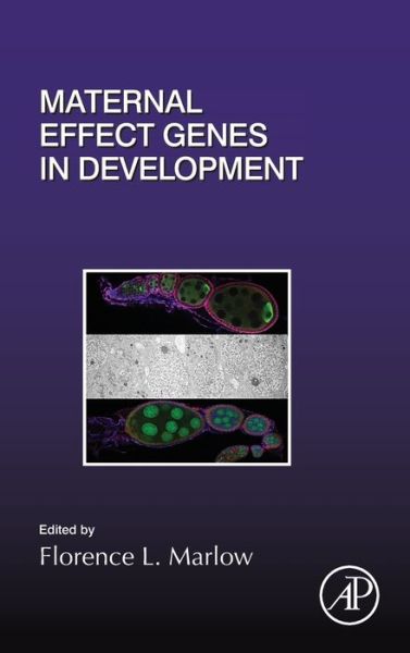 Cover for Florence L. Marlow · Maternal Effect Genes in Development - Current Topics in Developmental Biology (Hardcover Book) (2020)