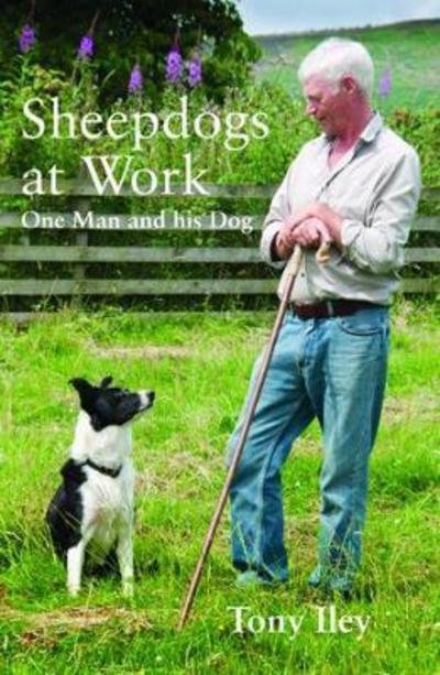 Sheepdogs at Work: One Man and His Dog - Tony Iley - Bøker - McNidder & Grace - 9780857160201 - 6. desember 2018