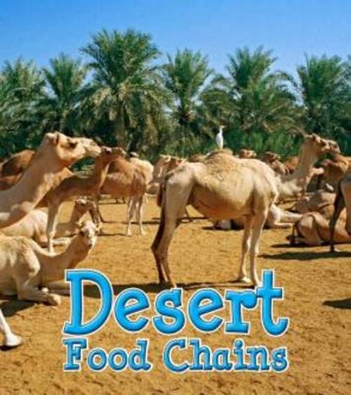 Cover for Angela Royston · Desert Food Chains - Food Chains and Webs (Hardcover Book) (2014)