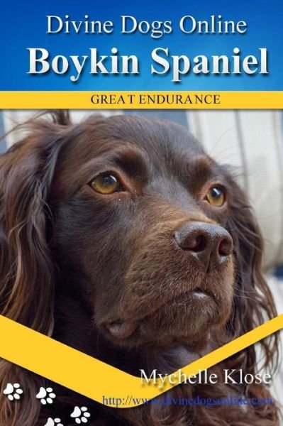 Cover for Mychelle Klose · Boykin Spaniels (Paperback Book) (2013)