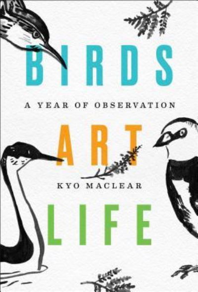 Cover for Kyo Maclear · Birds Art Life: A Year of Observation (Gebundenes Buch) [First Scribner hardcover edition. edition] (2017)
