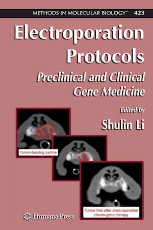 Cover for Electroporation Protocols: Preclinical and Clinical Gene Medicine - Methods in Molecular Biology (Paperback Book) [Softcover reprint of hardcover 1st ed. 2008 edition] (2010)