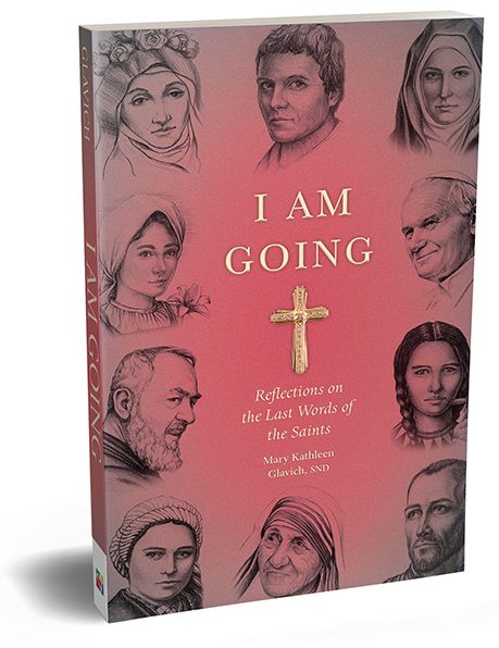 Cover for Mary Kathleen Glavich · I Am Going (Paperback Book) (2017)