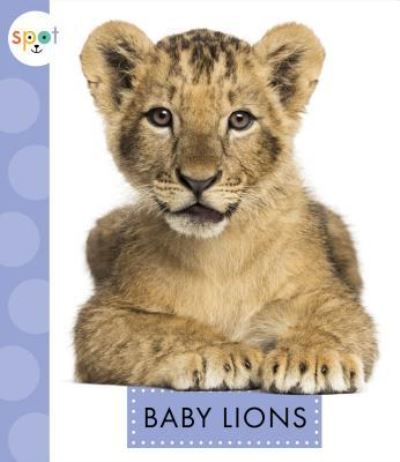 Cover for K C Kelley · Baby Lions (Hardcover Book) (2018)