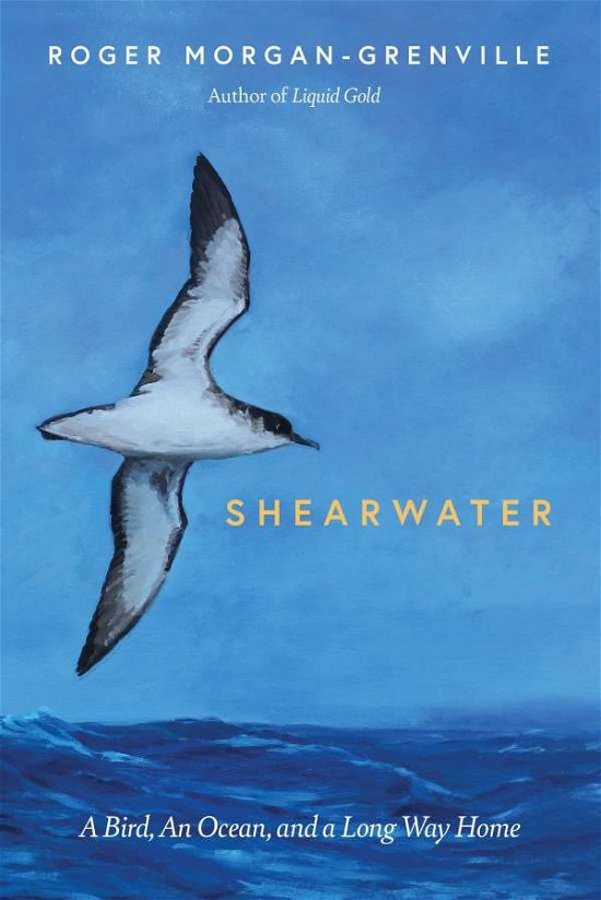 Cover for Roger Morgan-Grenville · Shearwater: A Bird, an Ocean, and a Long Way Home (Hardcover Book) (2021)