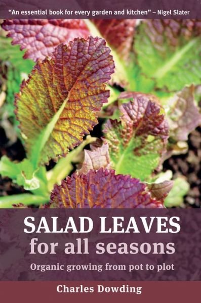 Cover for Charles Dowding · Salad Leaves for All Seasons: Organic Growing from Pot to Plot (Paperback Bog) [1st edition] (2008)
