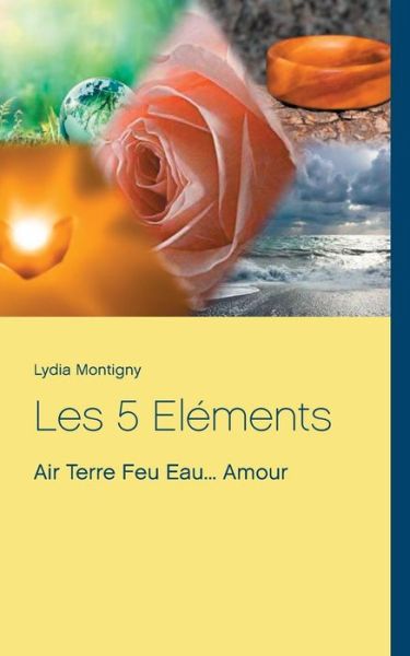 Cover for Montigny · Les 5 Eléments (Book) (2019)