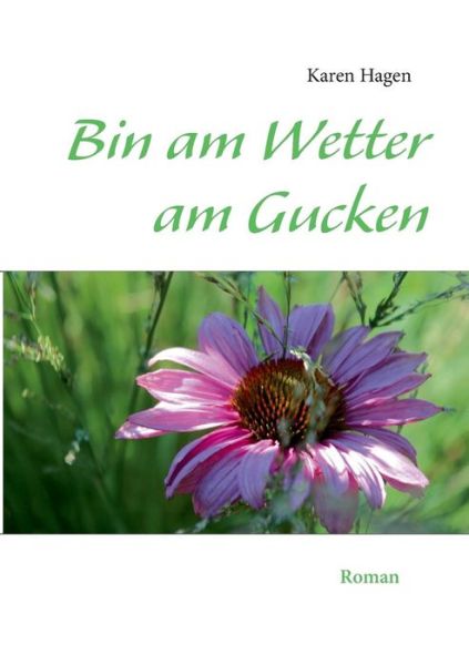 Cover for Karen Hagen · Bin Am Wetter Am Gucken (Paperback Book) [German edition] (2013)