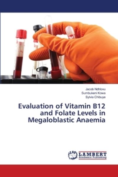 Cover for Ndhlovu · Evaluation of Vitamin B12 and F (Bog) (2020)